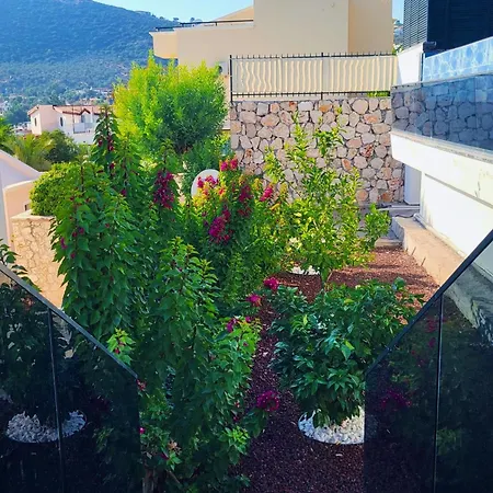 Elmas Kalkan